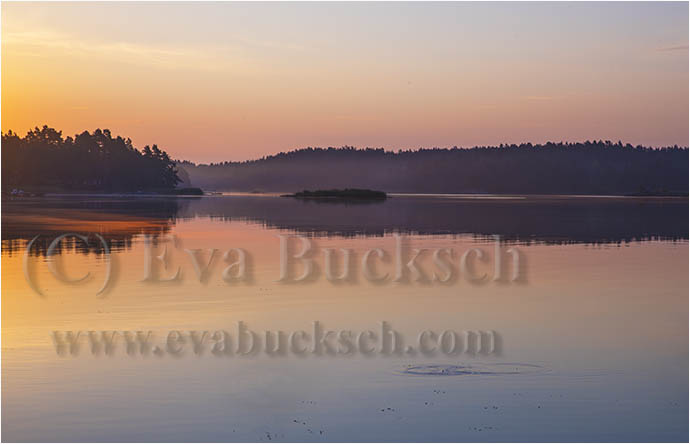 Morgondis - foto av Eva Bucksch
